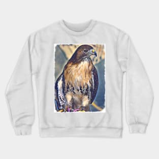 Red-Tailed Hawk Crewneck Sweatshirt